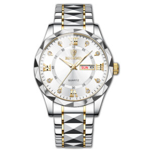 BINBOND Men’s Waterproof Stainless Steel Quartz Watch 2024 Top Brand Luxury Night Glow Date Week Men’s Watch 2521