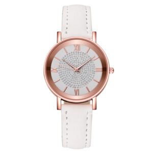 Luxury Watches Quartz Watch Stainless Steel Dial Casual Bracele Watch