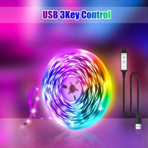 100Ft RGB LED Strip Lights For Bedroom TV Living Room Desk Home Christmas Party Decor,With 24-Key Remote, App Control Rope Light