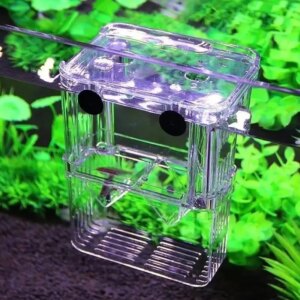 Fish Tank Acrylic Fish Breeding Isolation Box Betta Fish Aquarium Breeder Fish Tank Hatching Incubator Fish House Home Hatchery