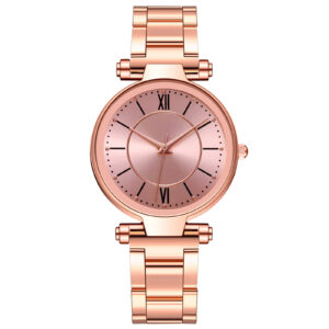 Casual Ladies Quartz Stainless Steel Strap Watch Analog Wrist Watch Women’s Watches Bracelet Luxury Fashion reloj para mujer
