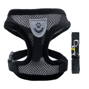 Pet Leash Mesh Breathable Pet Chest And Shoulder Straps Dog Collar Outdoor Vest Style Walking Bog Leash