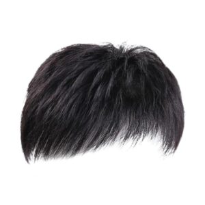 Men Short Straight Hairpiece with Bangs Balds Spots Gray Hair Coverage High Temperature Fiber Male Black Synthetic Hair Wig