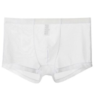 Transparent Boxers for Men See Through Male Underpants Sexy Low Waist Panties Lingerie Intimates