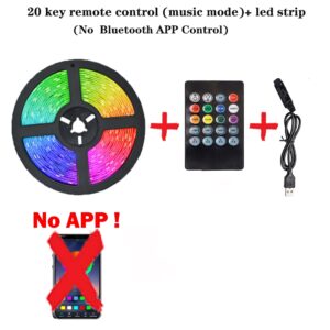 1-15m RGB LED Strip Lights Bluetooth App Remote Control 5V USB Music Sync Party Atmosphere TV Backlight for Christmas Home Decor