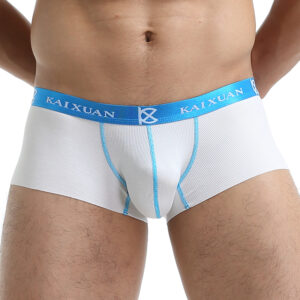 Seamless Men Boxers Luxury Silk Spandex 3D Crotch Boxer Underwear Shorts Slips Underpants