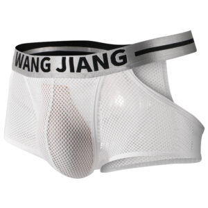 Sexy Men Mesh Hole Underwear Man Boxers Short Underpants Plus Size Transparent Panties