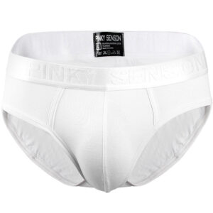 Pinky Seaso Brand Best Selling Sexy Triangle Pants Modal Thin Solid Color Underwear men Modal Briefs Ventilate Plus Size Men