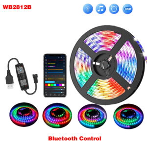 20M WS2812B LED Strip for Room RGBIC Smart Light Strips Bluetooth Control Luces Luminous Decor 5050SMD Dreamcolor Lamp