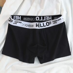 5pcs Mens Underwear Male Boxers Sexy Underpant Comfortable Breathable Fashion New Style Softness Boys Catton Panties Boxershorts