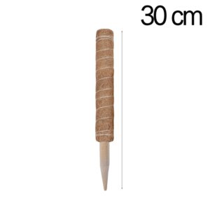 Tools, DIY & Outdoor