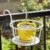Iron Art Hanging Baskets Flower Pot Balcony Hanging Plant Round Racks Railing Fence Outdoor Window Bonsai Stand Decoration