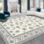 VIKAMA Crystal Pile Persian Vintage Ethnic Style Rug Sofa Tea Table Living Room Area Rugs