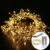 3M Led Grow Light Phytolamp for Plant Lamp Full Grow Tent Lamp Grow Lamp Indoor Lighting Hydroponic Growth Light E27/E14