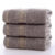 2pcs Home Shower Towels Suitable For Use In Gyms, Shower Rooms, Hotels, And Spa Centers As Soft Absorbent Towels