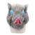 Inosuke Hashibira Mask Helmet Demon Slayer Kimetsu No Yaiba Cosplay Hood Hair Pig Mask Headwear Halloween Carnival Costume Prop