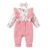 Baby Girl Fashion Romper Cute Floral Pattern Long Sleeve Bow Bodysuit Spring&Autumn Jumpsuit for Infant Girl 0-18 Months