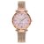 Fashion Women Watches Simple Rose Gold Mesh Belt Magnetic Quartz Wrist Watch Luxury Ladies Business Casual Watch Reloj Mujer