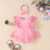 Baby’s Lace Flower Embroidered Mesh Dress, Solid Color Lovely Sleeveless Dress, Infant & Toddler Girl’s Clothing For Summer
