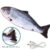 Hot Children’s Toy Electric Fish Will Jump and Move To Sleep Fake Fish Electric Pat Fish To Coax Baby Toy Fish Toy Sleeping Baby
