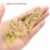20PCS Isca Artificial Soft Shrimp Lure Worm For Fishing Bait 1.3g/4cm Hook Sharp Crankbait Lures Silicone Shone Prawn Bait