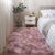 Living room carpet Bedroom bed blanket coffee table blanket Wholesale Gradation home long hair bed front room tatami floor mat