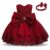 Baby Girls Party Dress for 1-5 Ys Sleeveless Lace Elegant Gown Cute Newborn Infant Birthday Baptism Vestidos Flower Kids Dresses