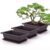 5Sets With Tray Plastic Bonsai Plants Pot Square For Flower Succulent Plastic Plant Pots With Square Trays planter Training Pots