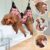 5pcsset Pet Grooming Hammock Thickened Hammock For Nail Trimming Suitable For Dogs And Cats Grooming Supplies