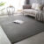 Japanese coral velvet living room rug Solid color bedroom rug bed rug Modern simple short hair rug