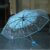 Manual Womens Transparent Clear Flowers Umbrella AntiUV Sun Umbrella Cherry Blossom 3 Folding Umbrellas Rain Gear Parasol
